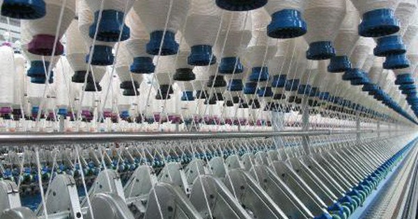 TNG: Tổng đơn hàng 8 tháng đạt 4.700 tỷ