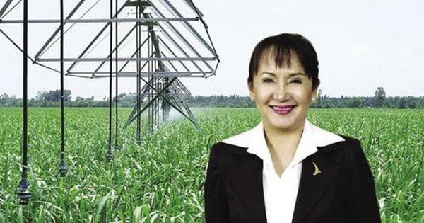 Trong con "sóng ngầm", TTC Sugar chấp thuận bán 33,5 triệu cổ phiếu cho bà Huỳnh Bích Ngọc