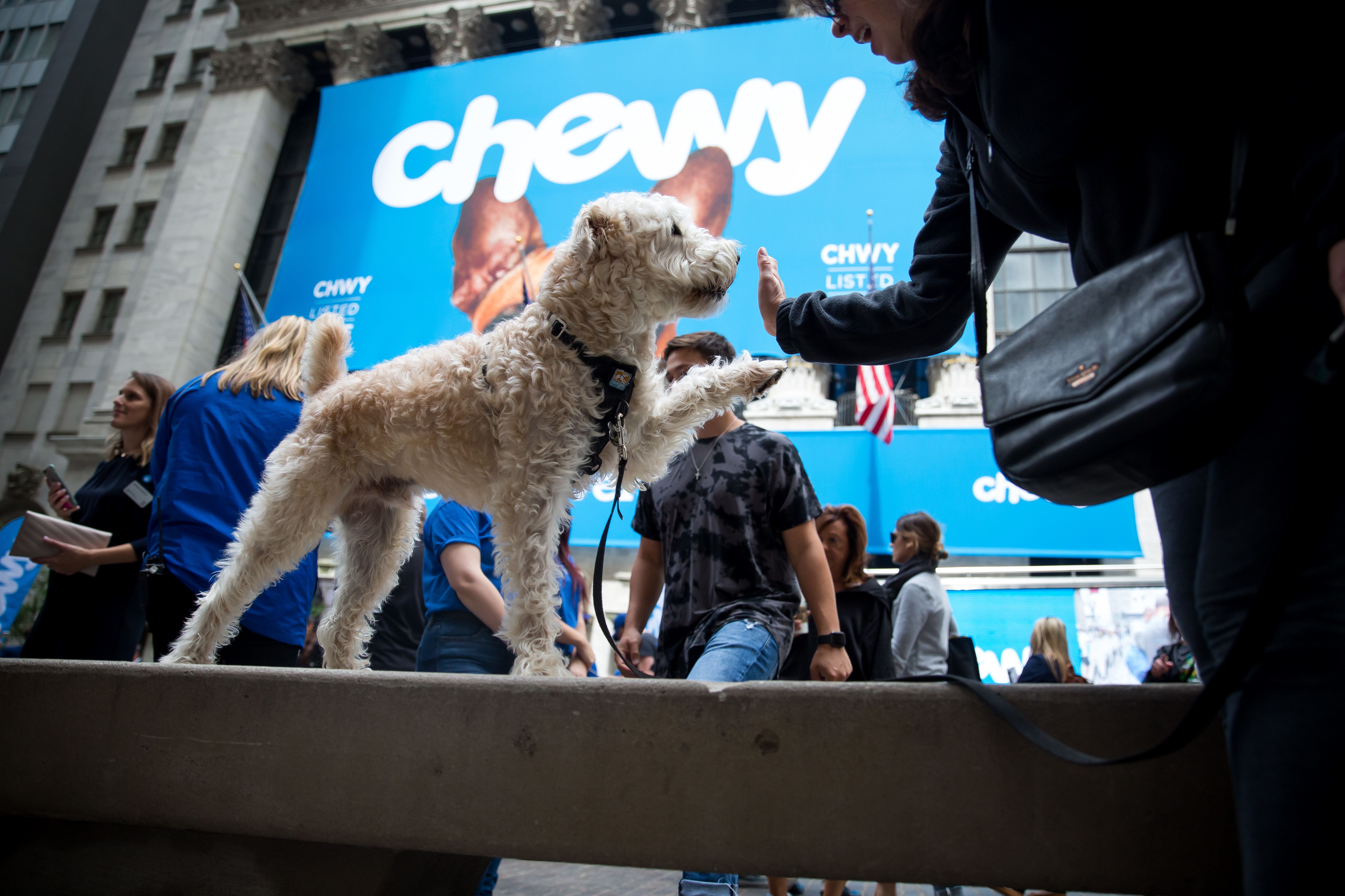 Chewy, PetSmart's online business, soars 86% at IPO