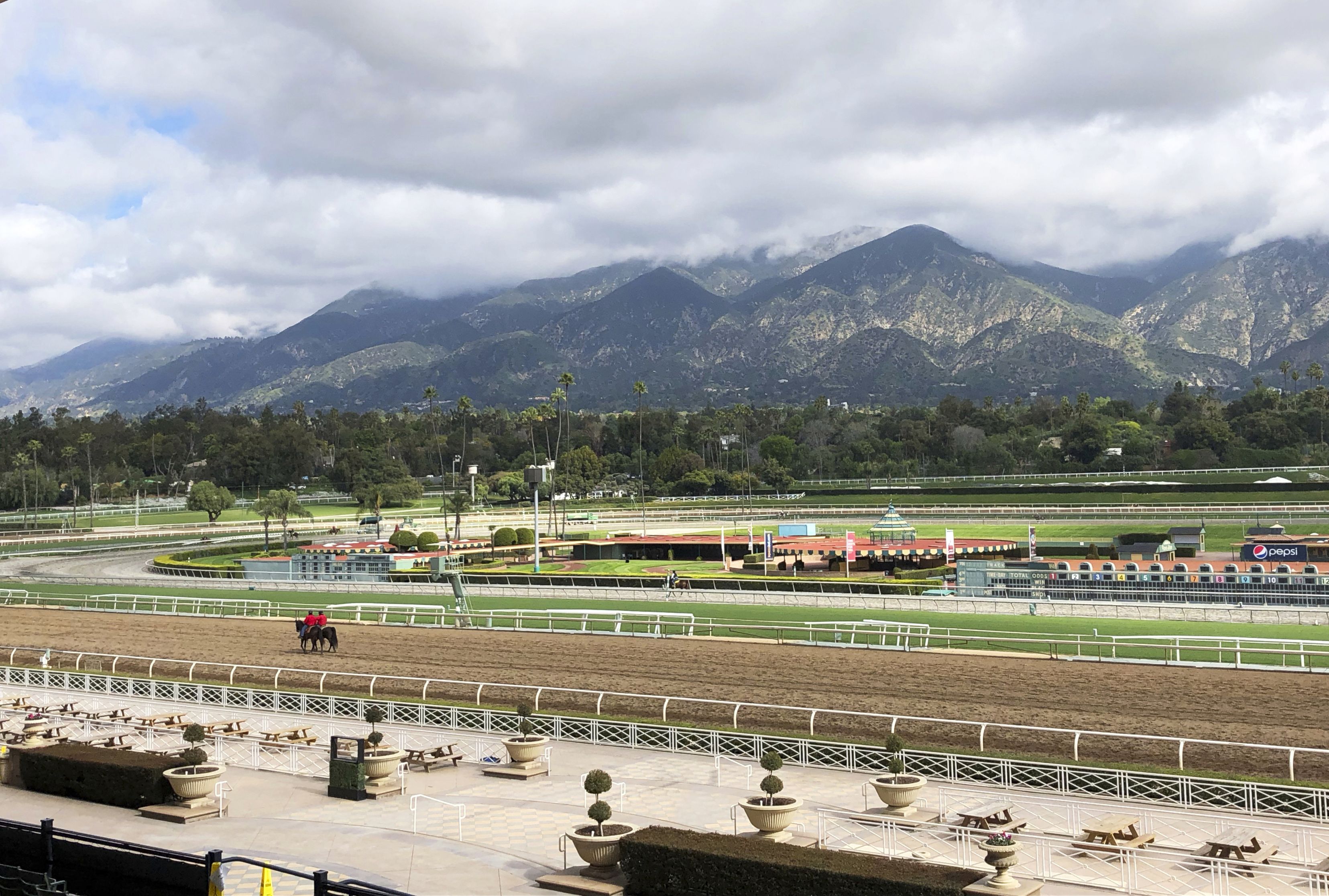 Death of 27th horse at famed LA racing park adds to calls for action