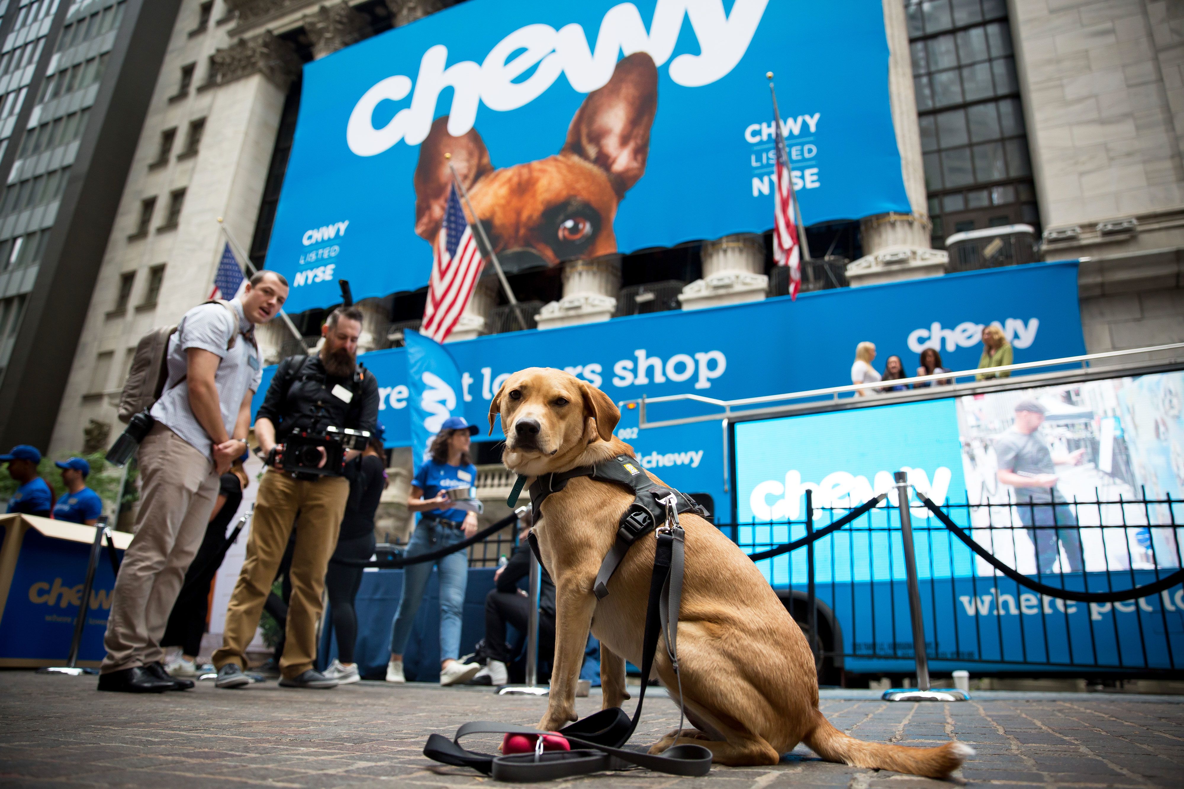 Chewy announces first earnings since IPO, matching previous guidance