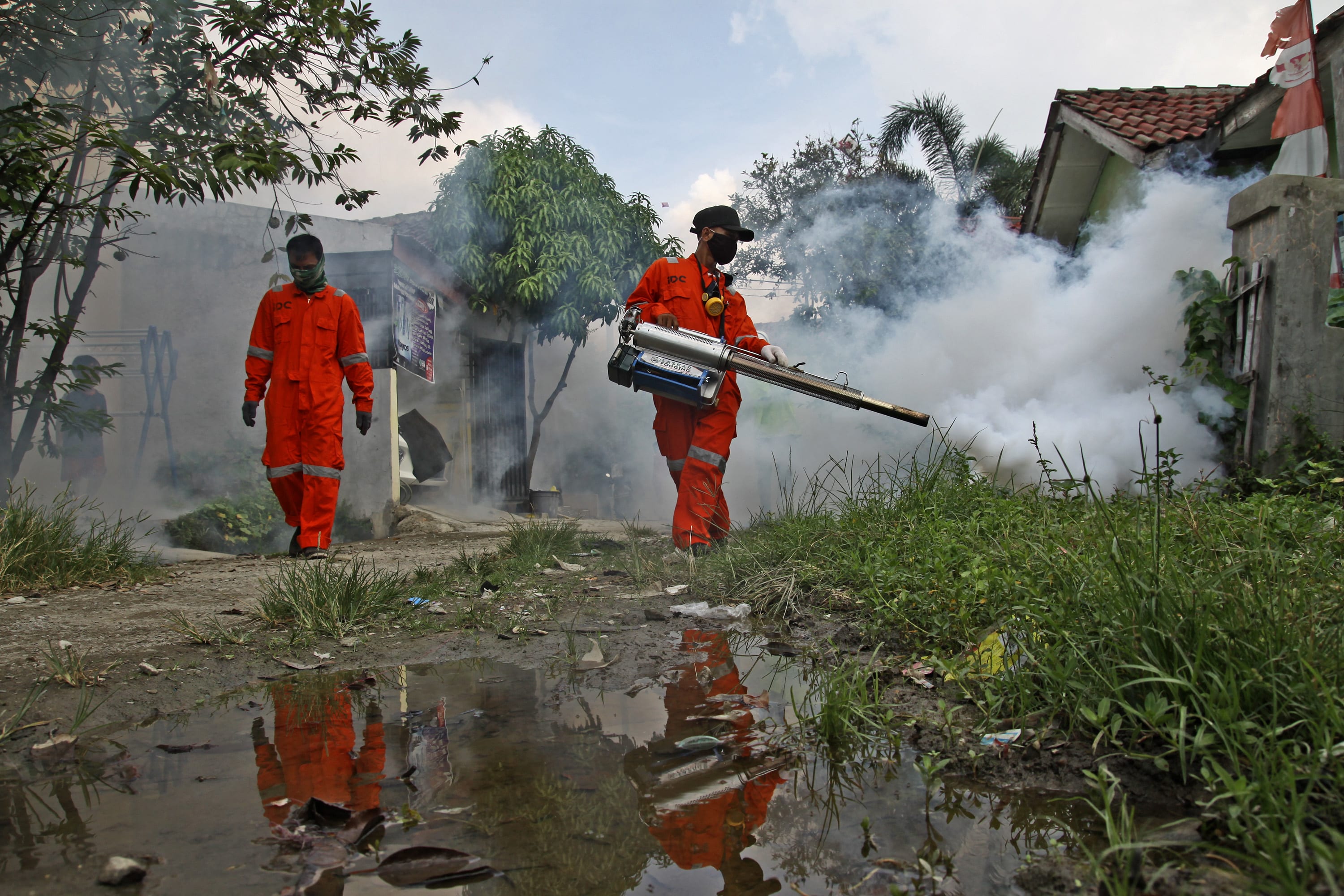 Outbreak of dengue fever in Southeast Asia is 'exploding' amid the coronavirus fight