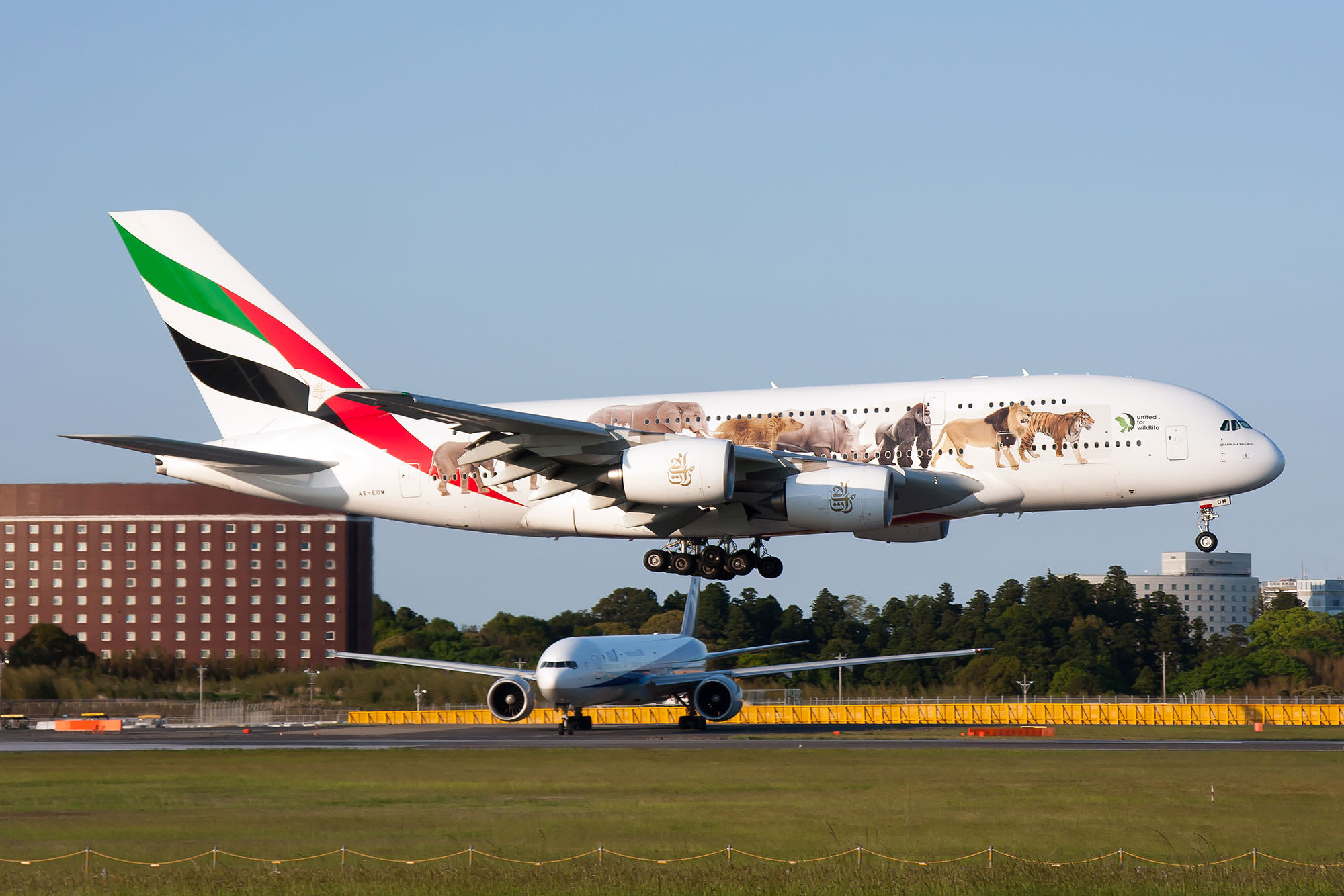 Emirates eyes return to profitability in 2022 as new travel corridors open