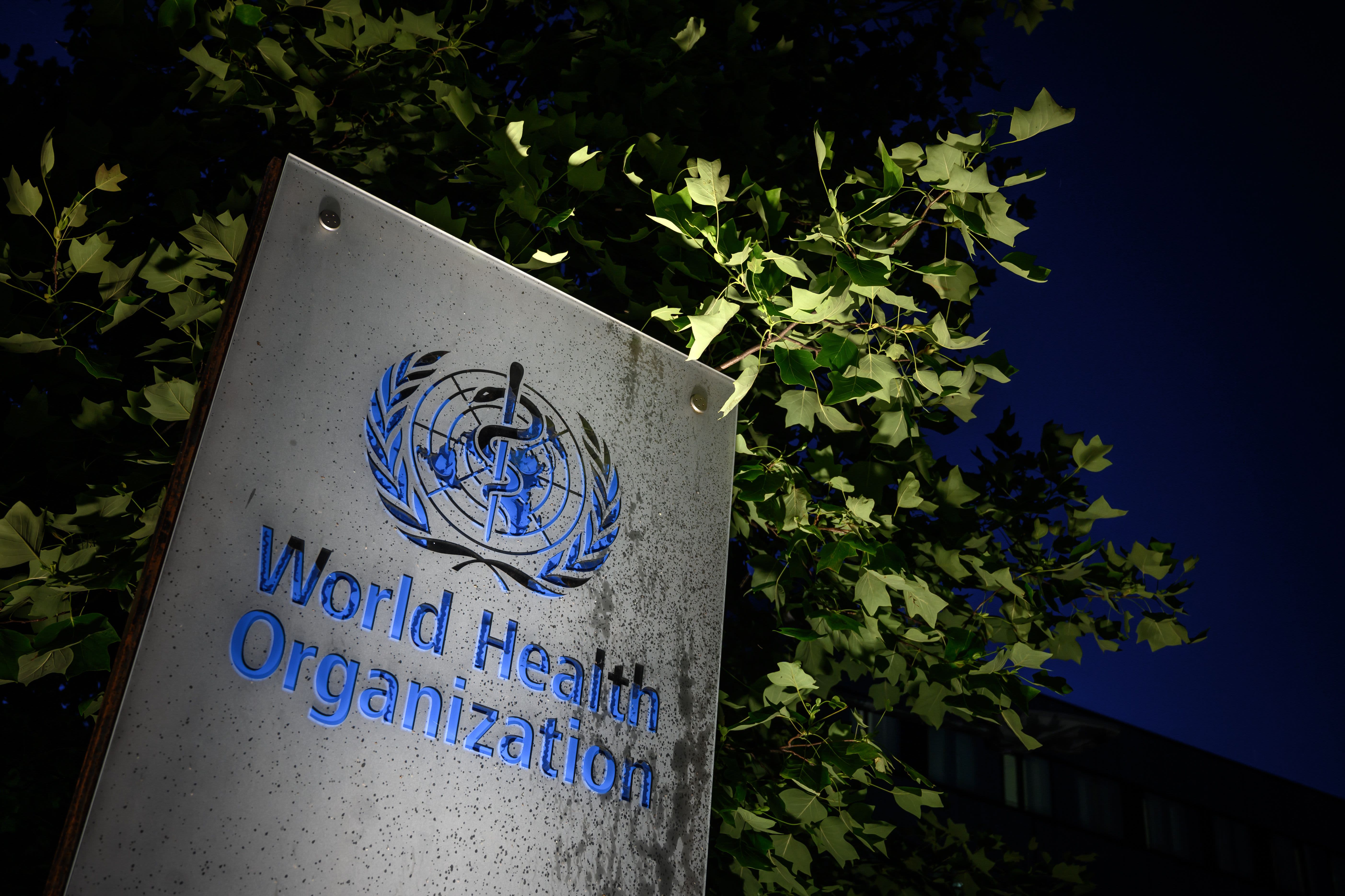 World Health Organization holds a briefing on Covid as Europe's outbreak appears to slow