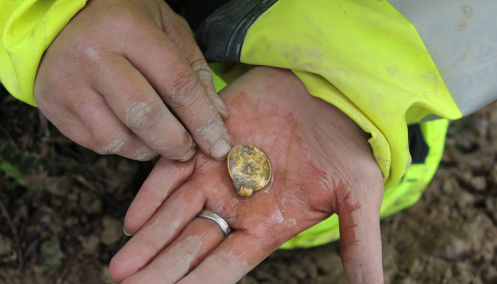 Gold for the Gods: Rare 1,500-Year-Old Pendants Found in Norse Ritual Hoard