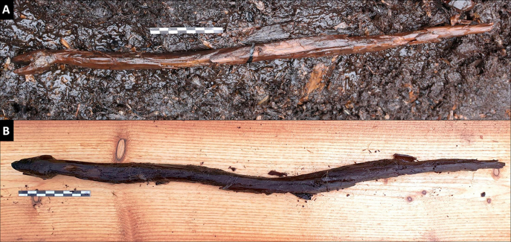 4,400-Year-Old Shaman’s Snake Staff Found in Endangered Finnish Wetland