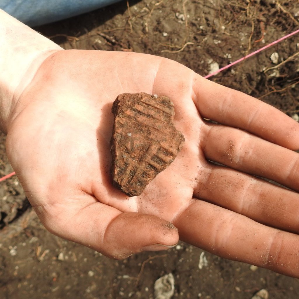 Archaeologists May Have Discovered a Long-Lost Indigenous Settlement in Florida