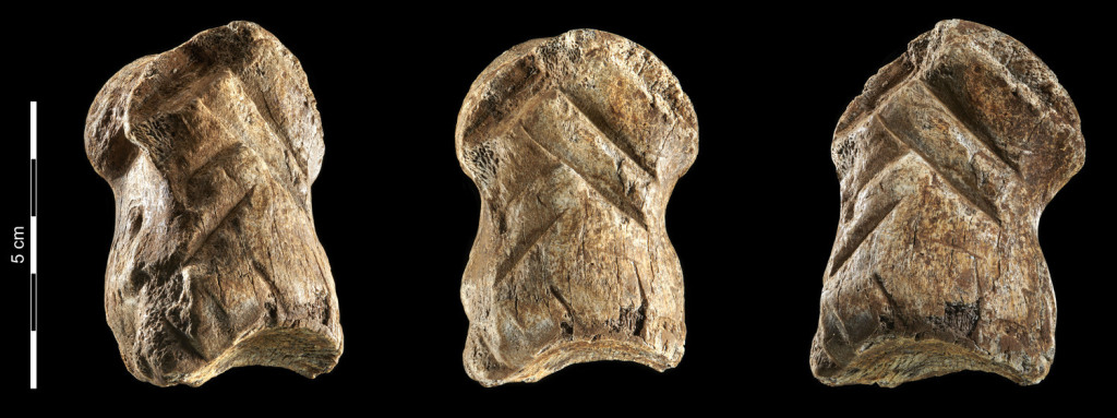 Neanderthal Carving Discovered in Germany’s Unicorn Cave